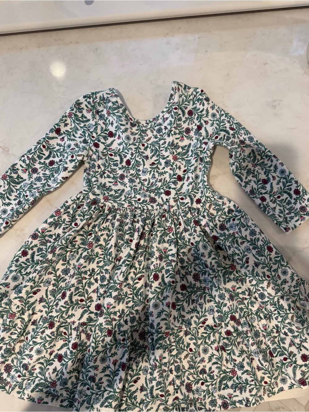 Janie and Jack White Dress with Green Leaf & Red Floral Print
